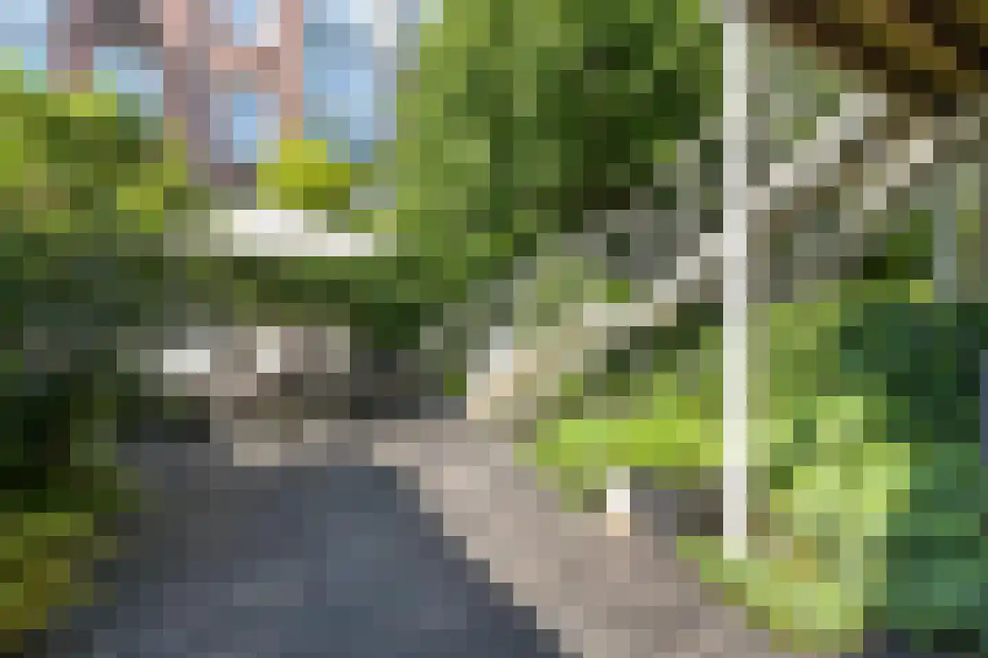 Bosschestraat 8 Den Haag thumbnail 23
