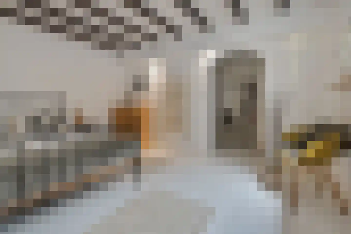 Bosschestraat 8 Den Haag thumbnail 31