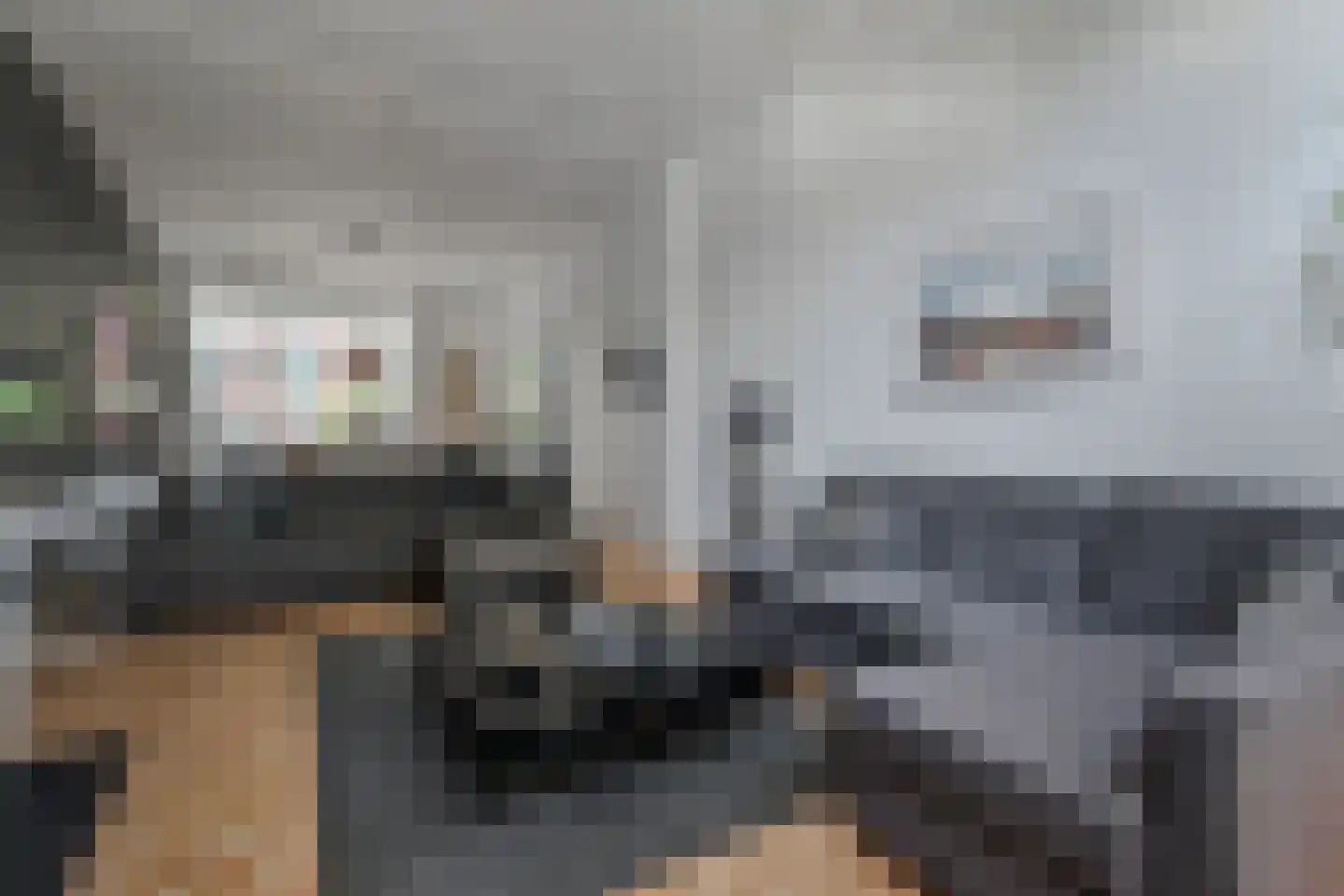Bosschestraat 8 Den Haag thumbnail 9