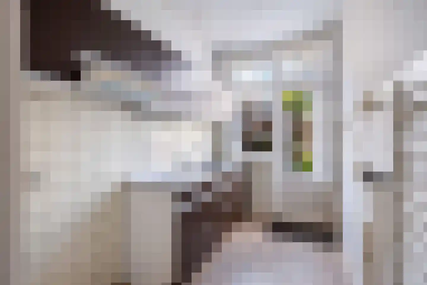 Bosschestraat 98 Den Haag thumbnail 9