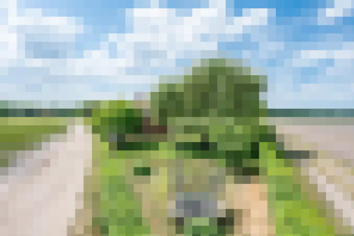 Bosscheweg 1 Hilvarenbeek thumbnail 14