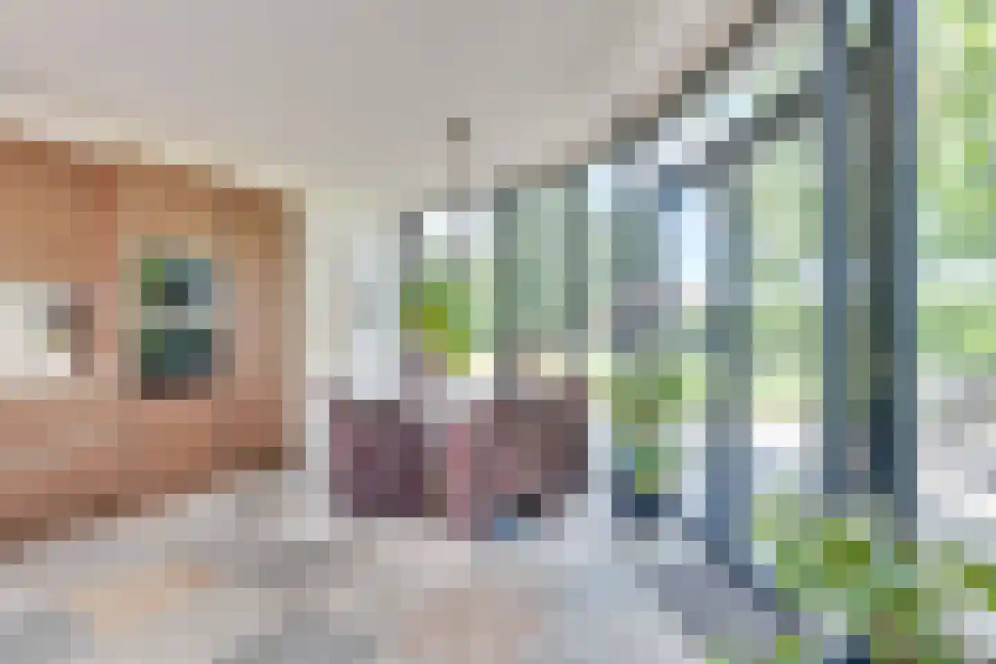 Bosscheweg 1 Hilvarenbeek thumbnail 23