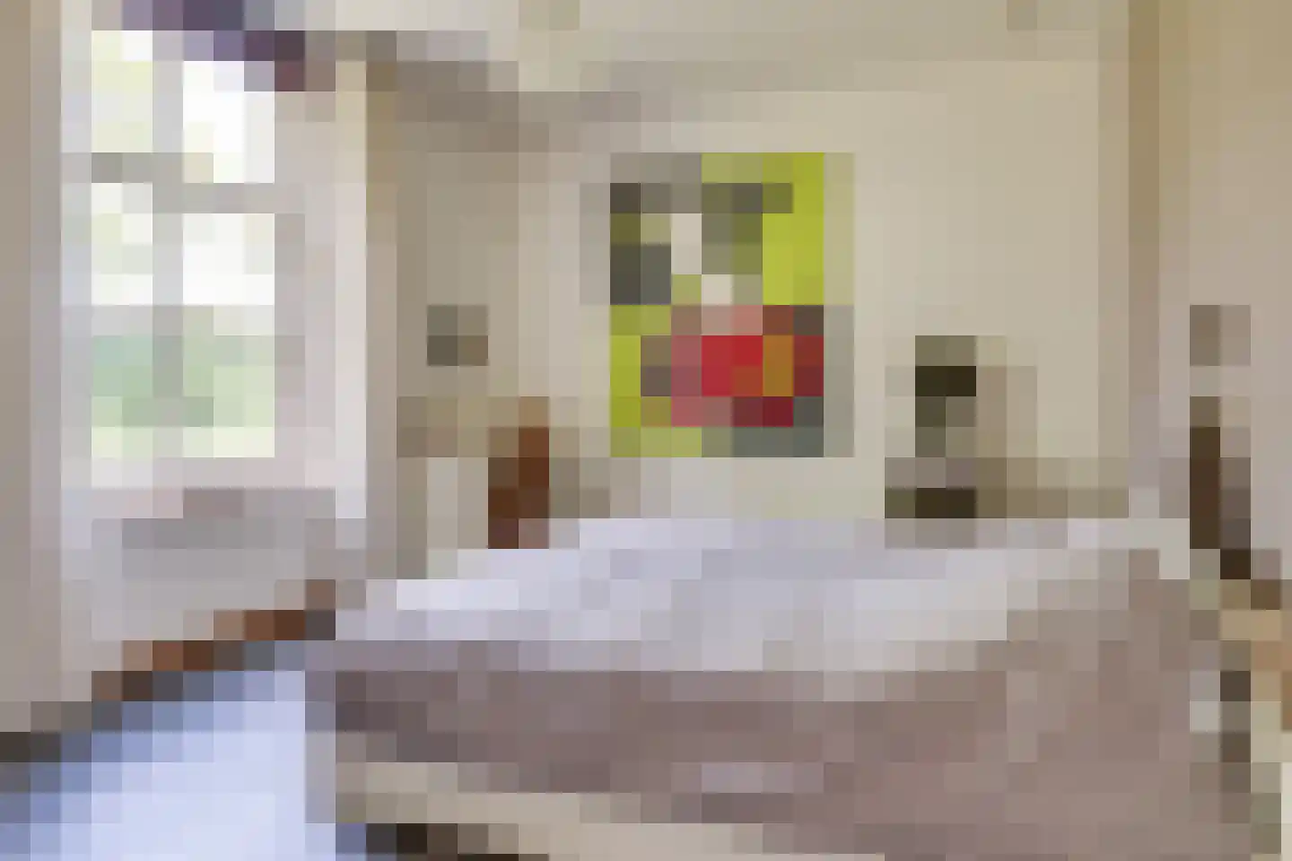 Bosscheweg 1 Hilvarenbeek thumbnail 33