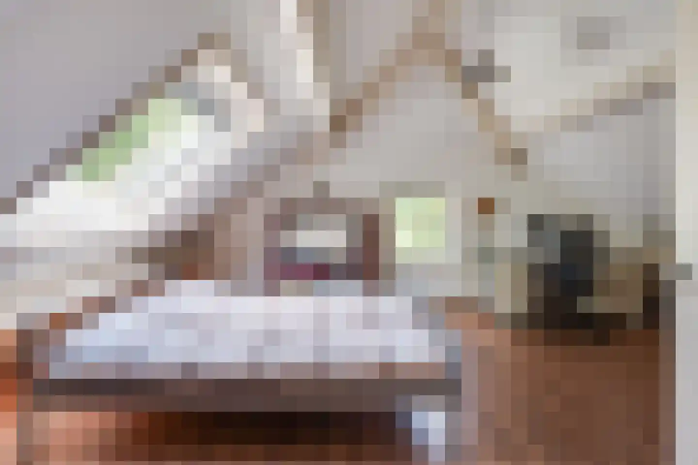 Bosscheweg 1 Hilvarenbeek thumbnail 37
