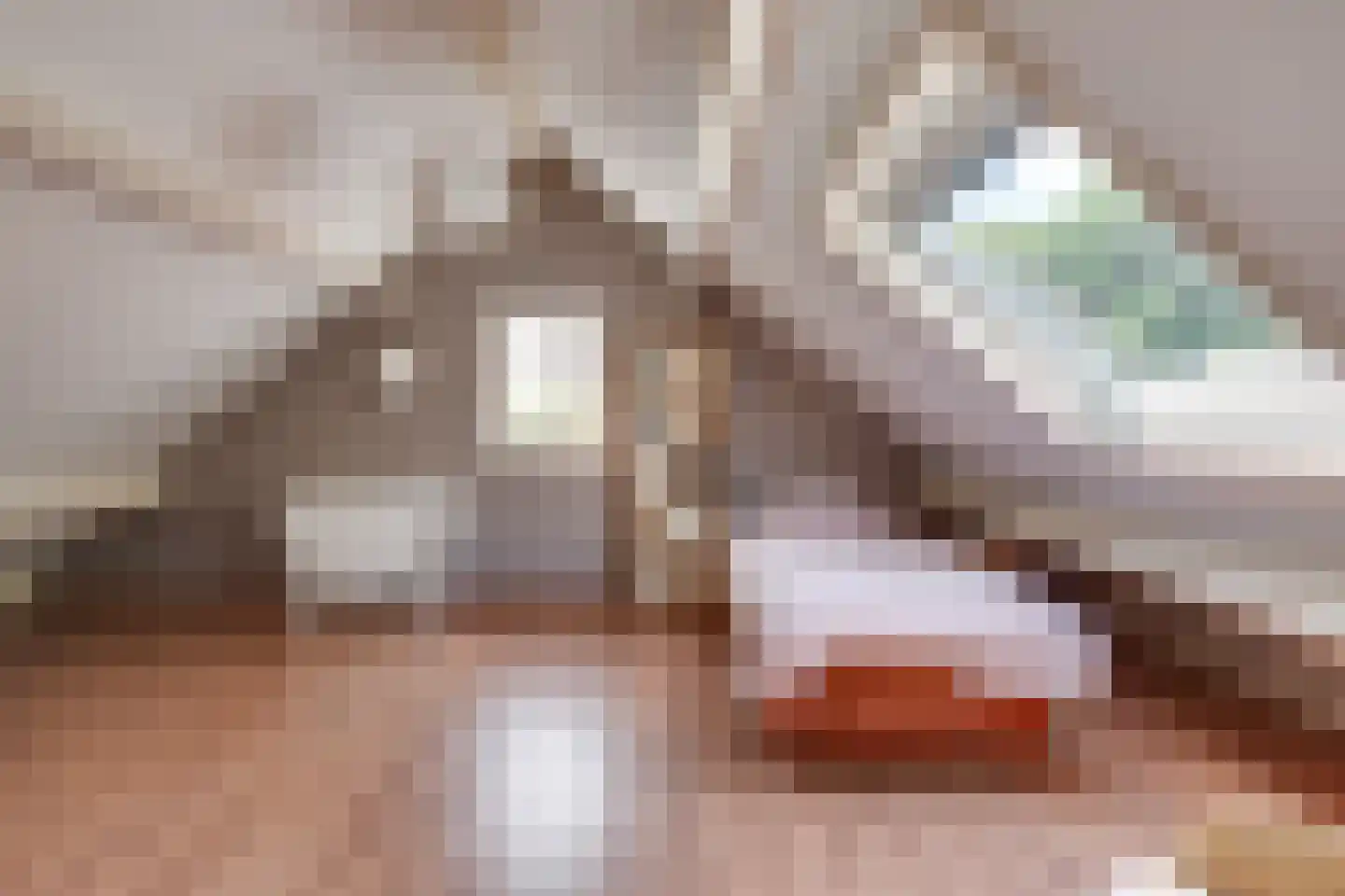 Bosscheweg 1 Hilvarenbeek thumbnail 38