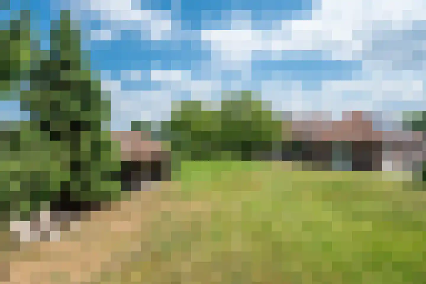 Bosscheweg 1 Hilvarenbeek thumbnail 4