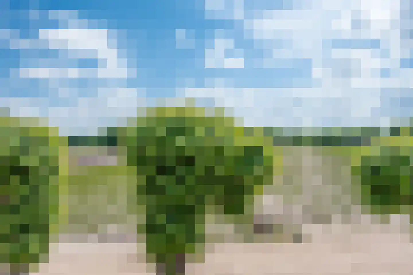 Bosscheweg 1 Hilvarenbeek thumbnail 41