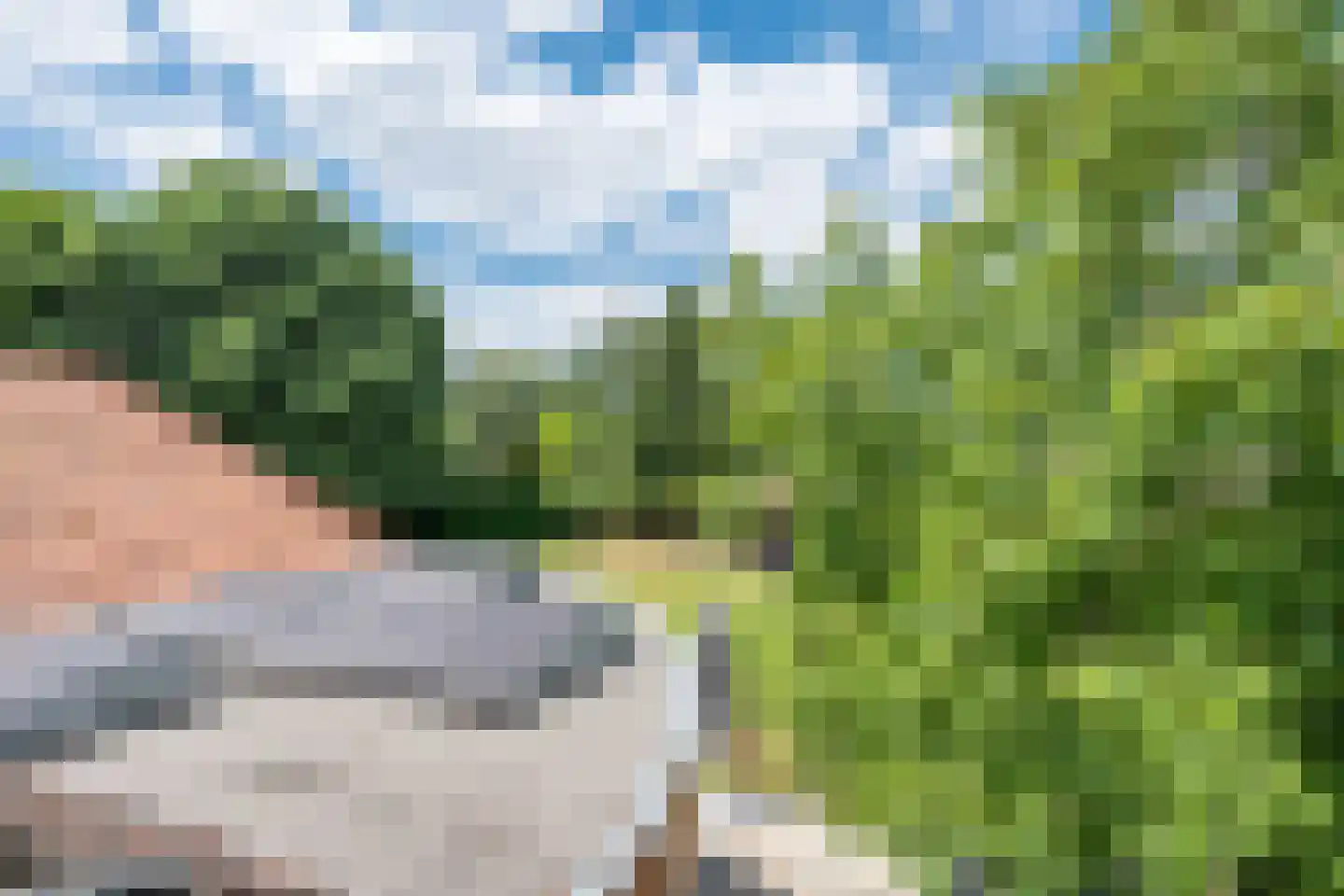 Bosscheweg 1 Hilvarenbeek thumbnail 42
