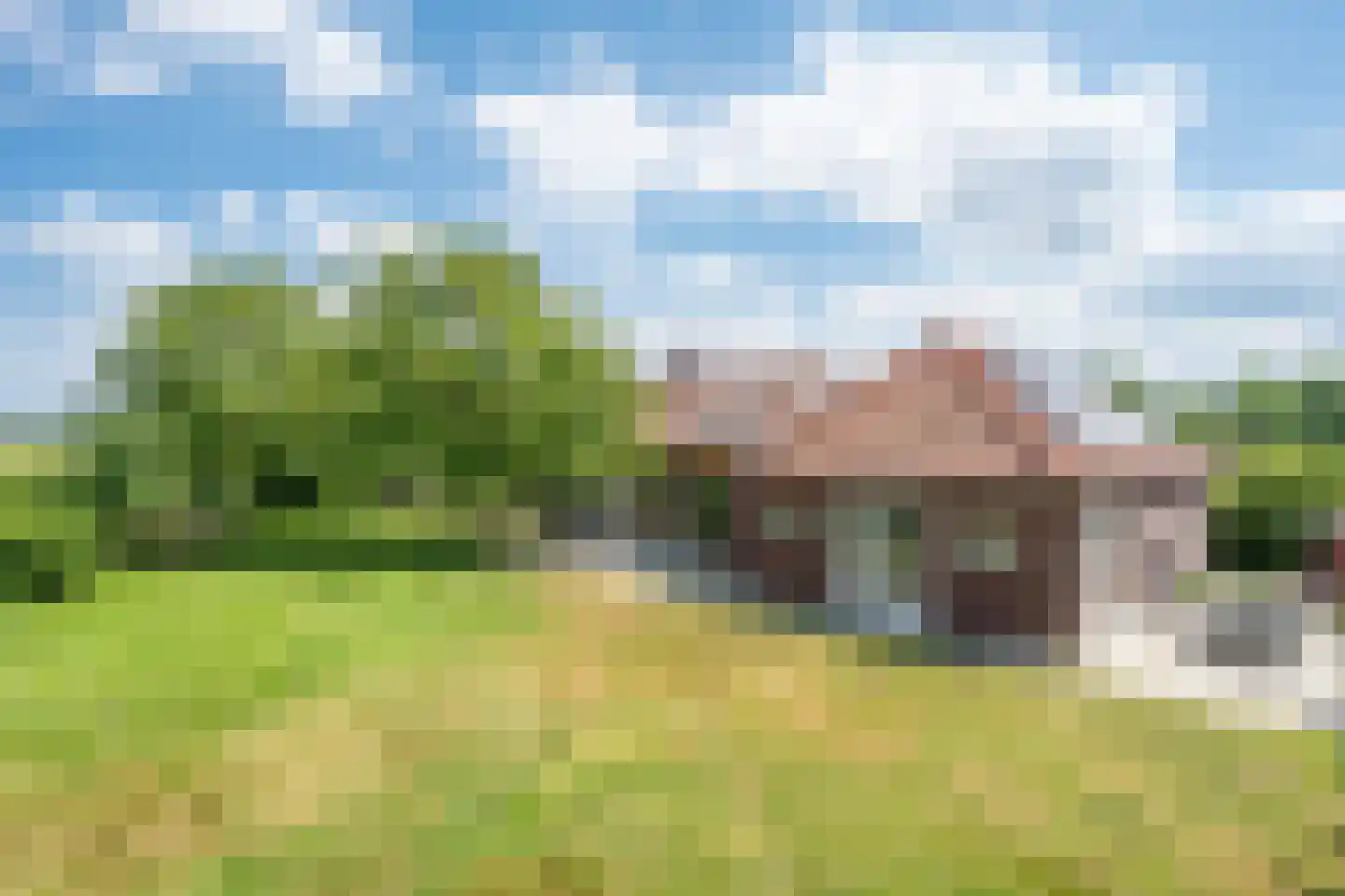 Bosscheweg 1 Hilvarenbeek thumbnail 43