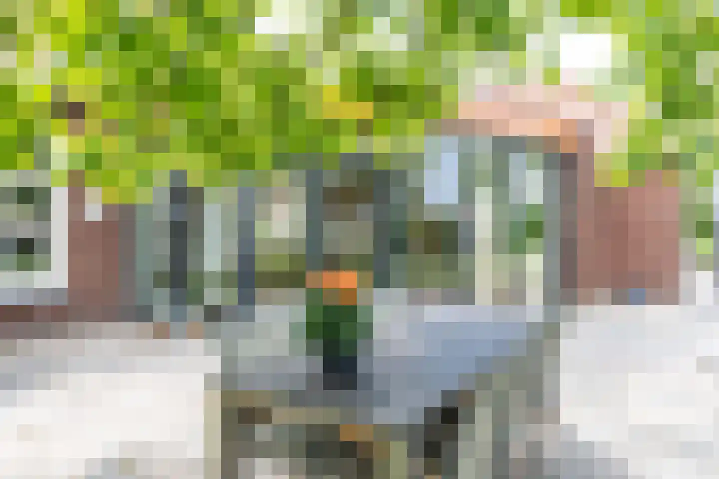 Bosscheweg 1 Hilvarenbeek thumbnail 45