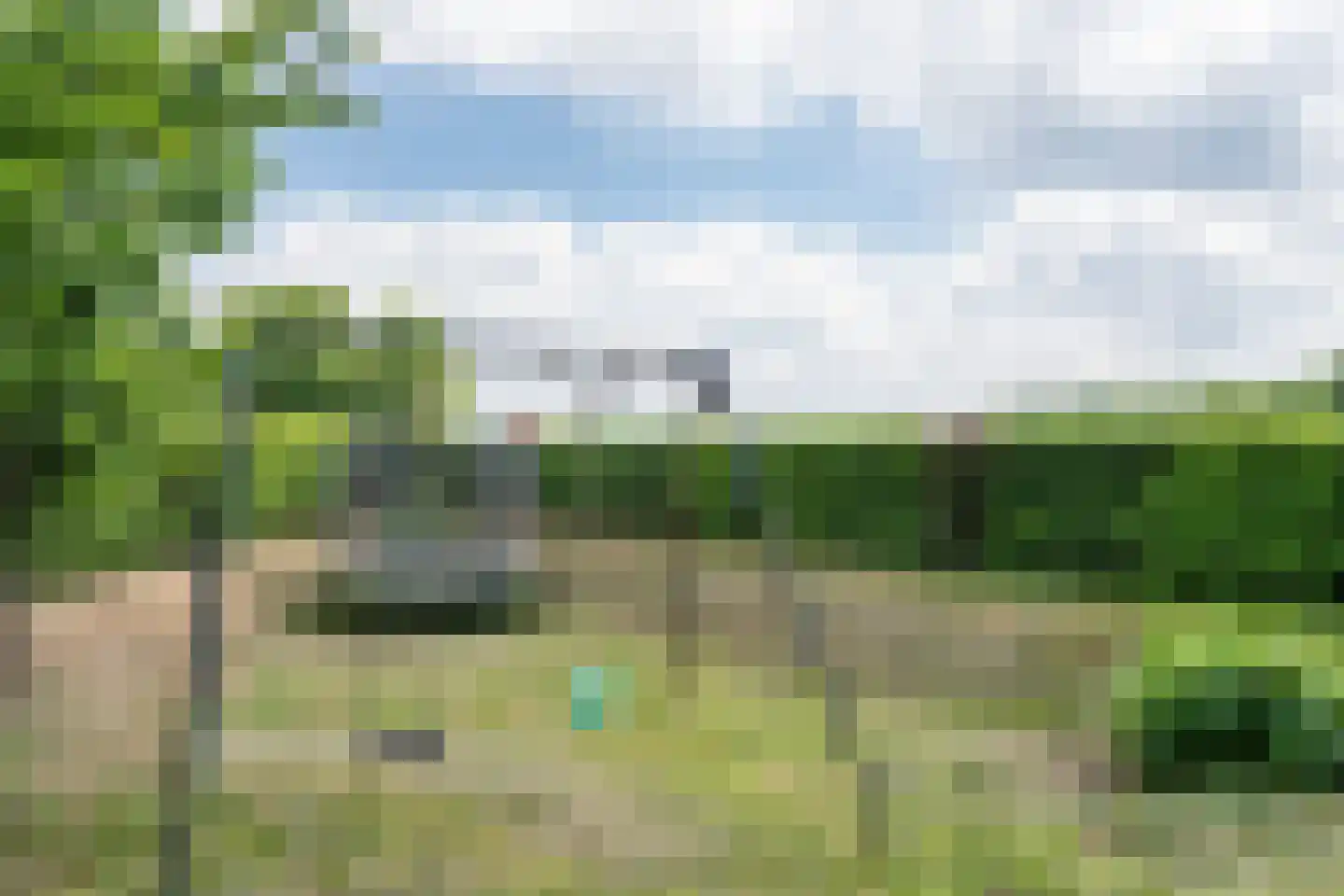 Bosscheweg 1 Hilvarenbeek thumbnail 48