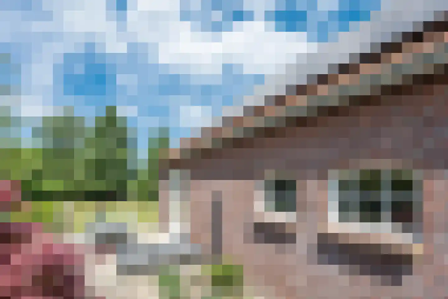 Bosscheweg 1 Hilvarenbeek thumbnail 51