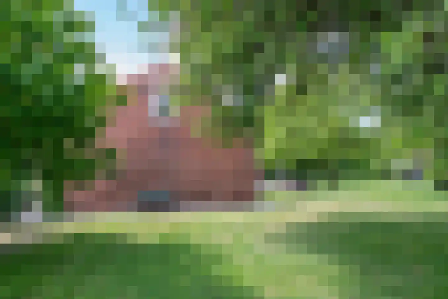 Bosscheweg 1 Hilvarenbeek thumbnail 53