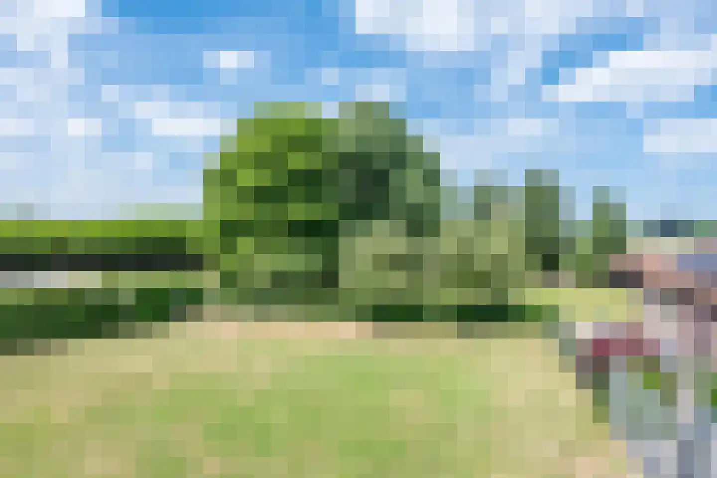Bosscheweg 1 Hilvarenbeek thumbnail 55