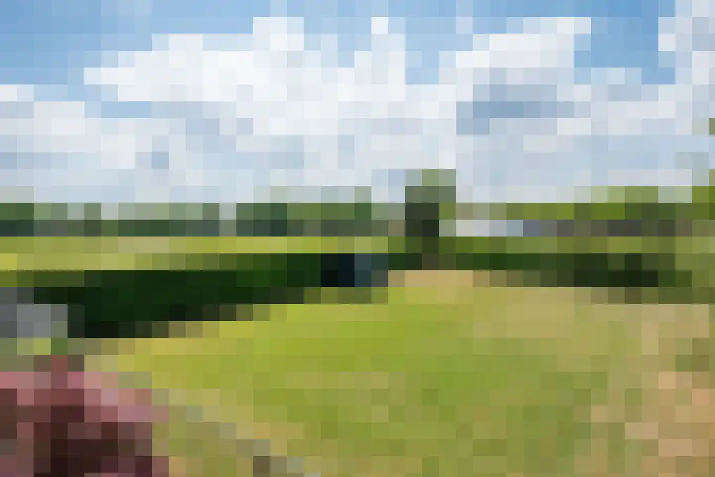 Bosscheweg 1 Hilvarenbeek thumbnail 56