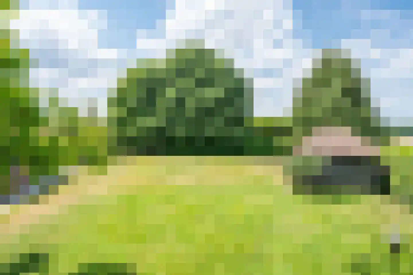 Bosscheweg 1 Hilvarenbeek thumbnail 57