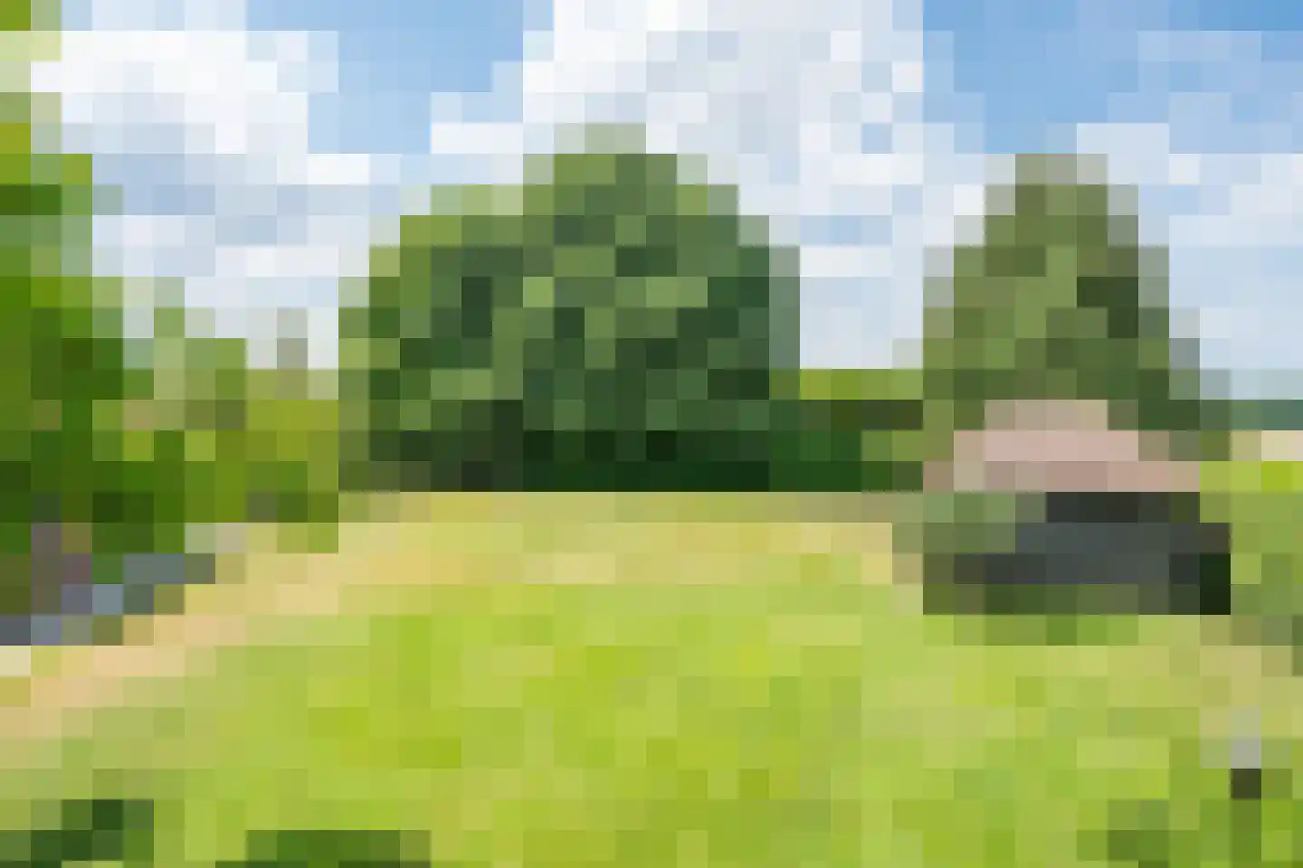Bosscheweg 1 Hilvarenbeek thumbnail 57