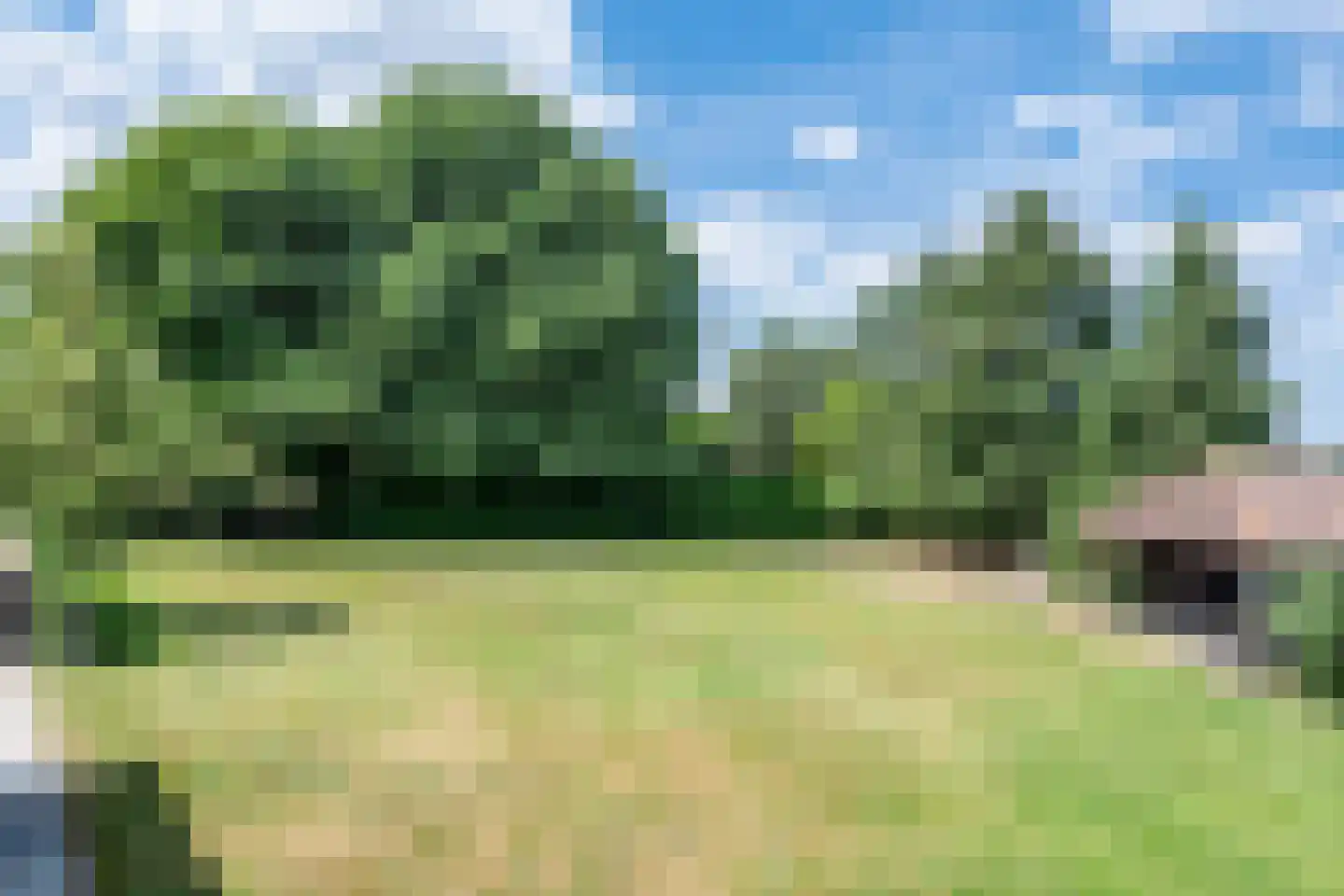 Bosscheweg 1 Hilvarenbeek thumbnail 58