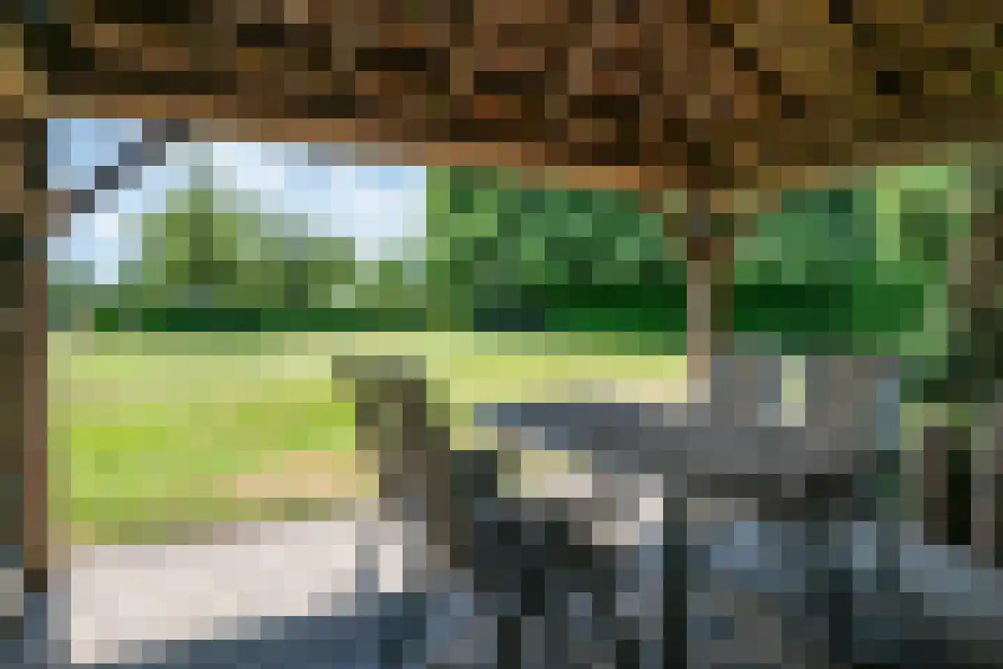 Bosscheweg 1 Hilvarenbeek thumbnail 60