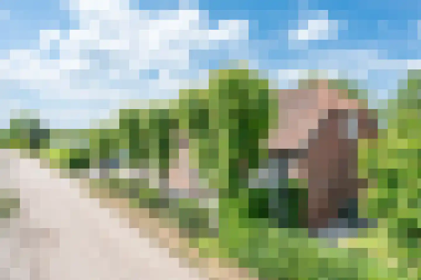 Bosscheweg 1 Hilvarenbeek thumbnail 7