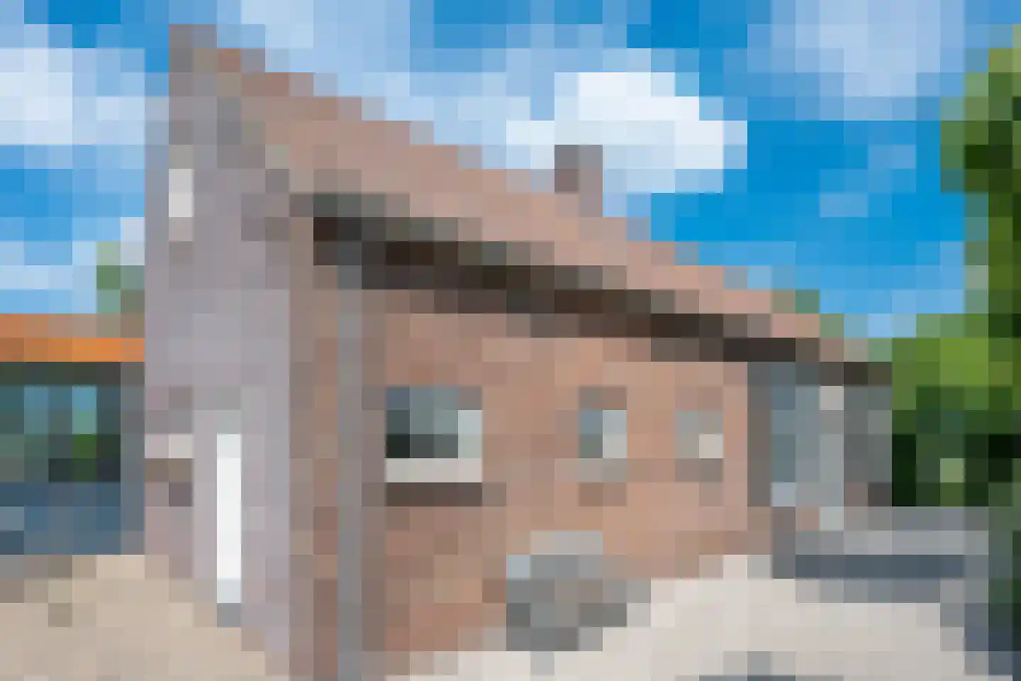 Bosscheweg 1 Hilvarenbeek thumbnail 9