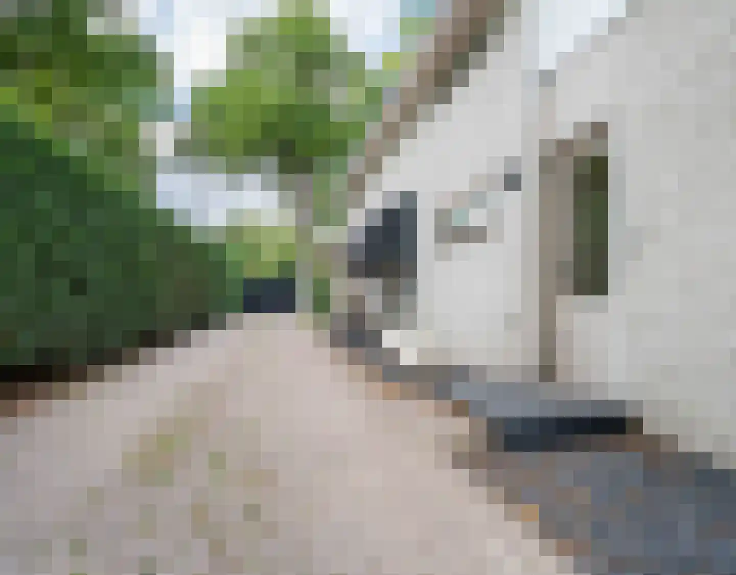 Bosscheweg 112 Tilburg thumbnail 47