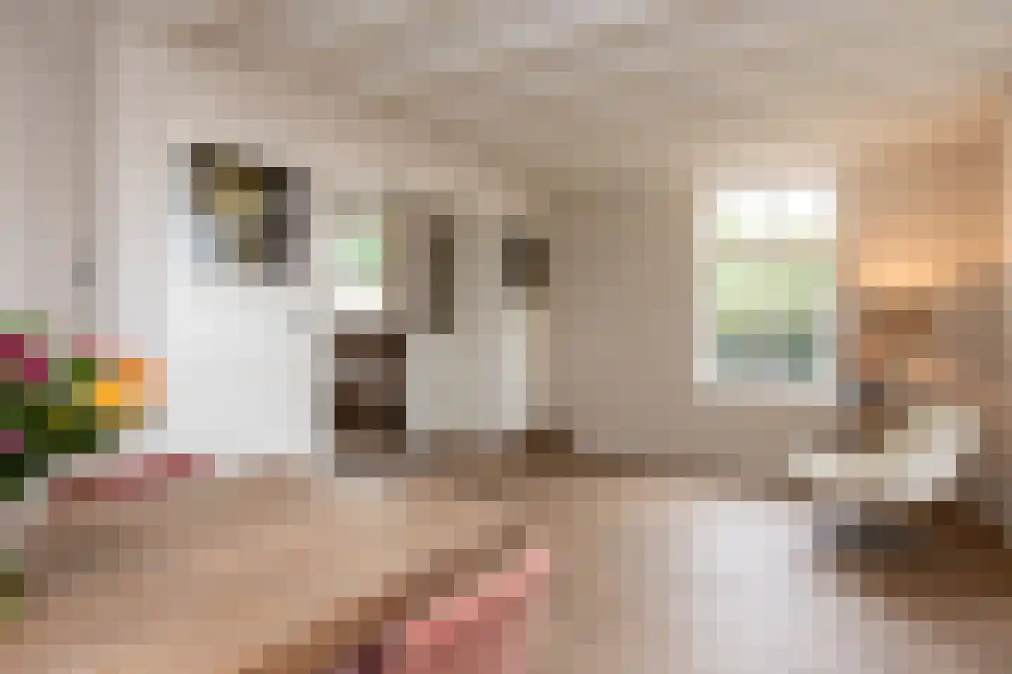 Bosscheweg 12 Berkel-Enschot thumbnail 16