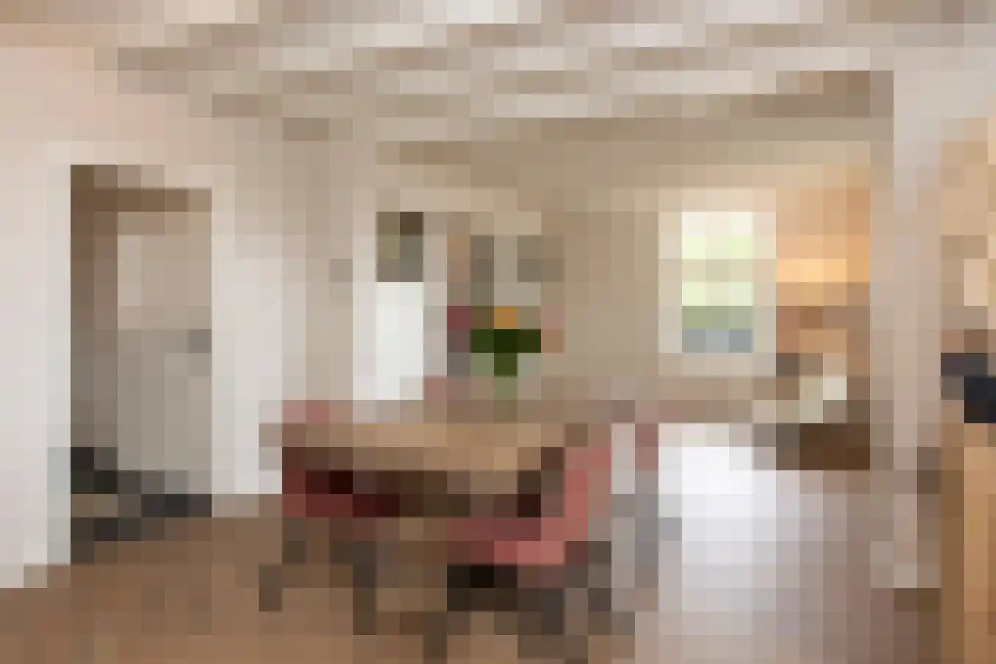Bosscheweg 12 Berkel-Enschot thumbnail 17