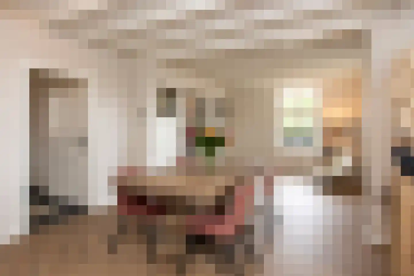 Bosscheweg 12 Berkel-Enschot thumbnail 4