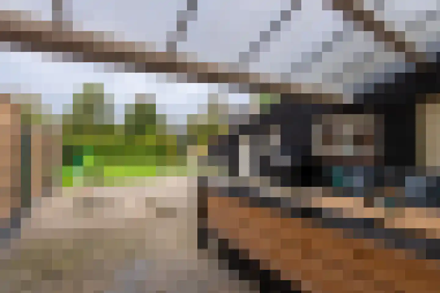 Bosscheweg 12 Berkel-Enschot thumbnail 42