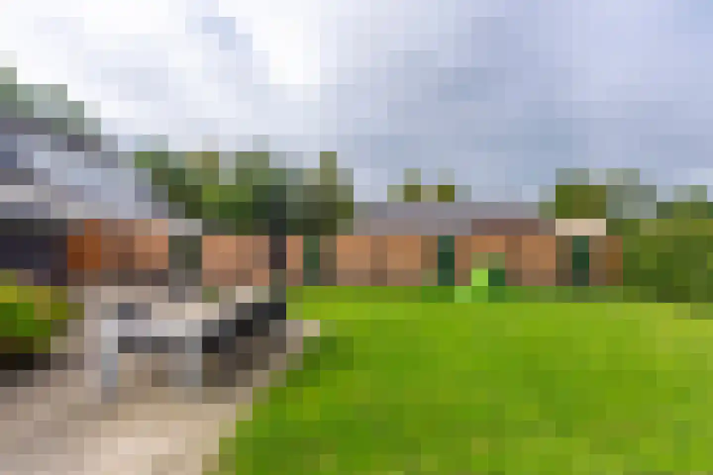 Bosscheweg 12 Berkel-Enschot thumbnail 55
