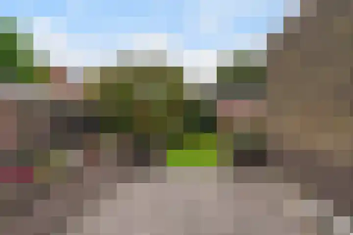 Bosscheweg 15 Boxtel thumbnail 20