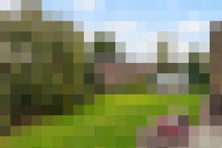 Bosscheweg 15 Boxtel thumbnail 21