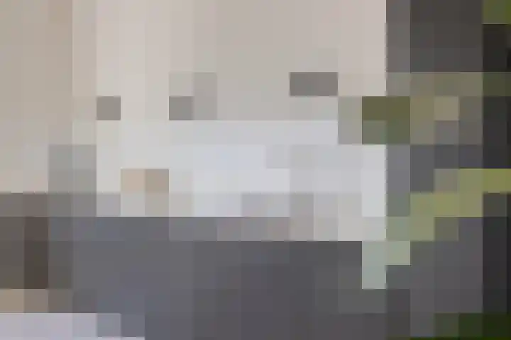Bosscheweg 158 11 Tilburg thumbnail 11