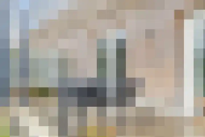 Bosscheweg 158 11 Tilburg thumbnail 32