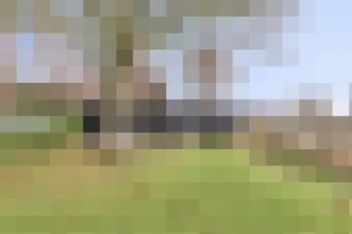 Bosscheweg 158 11 Tilburg thumbnail 33