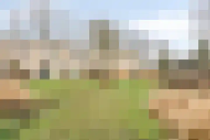 Bosscheweg 158 11 Tilburg thumbnail 34