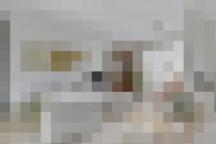 Bosscheweg 158 11 Tilburg thumbnail 4