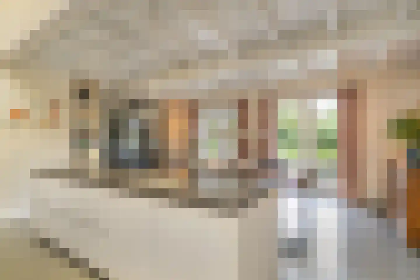 Bosscheweg 16 Den Dungen thumbnail 13