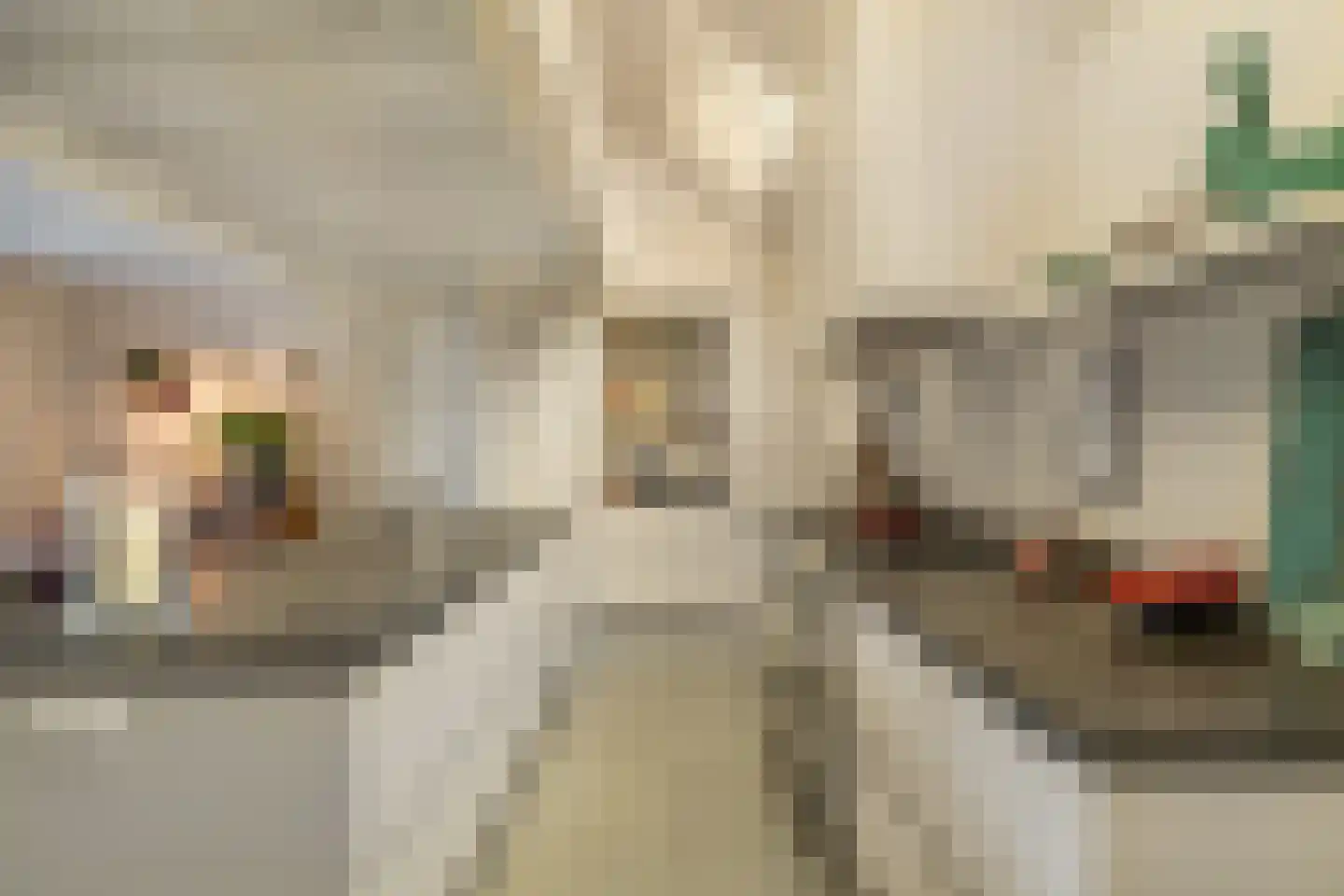 Bosscheweg 16 Den Dungen thumbnail 14