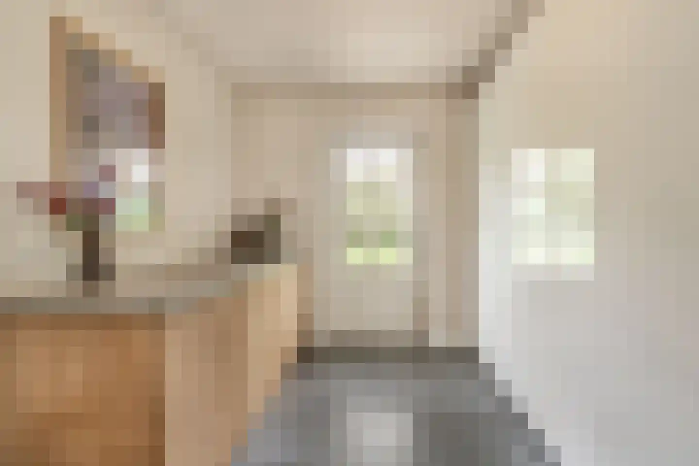 Bosscheweg 16 Den Dungen thumbnail 16