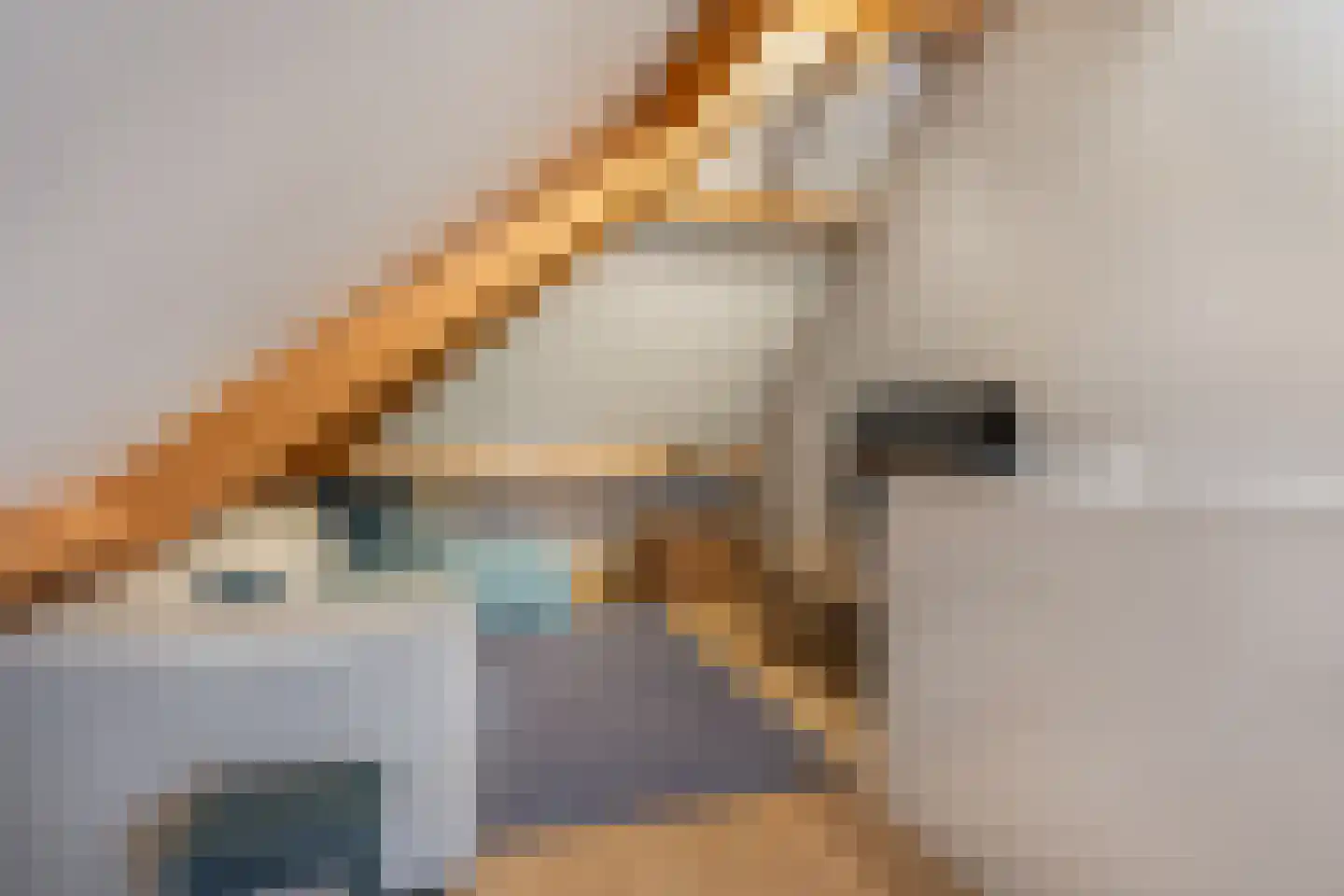 Bosscheweg 16 Den Dungen thumbnail 18