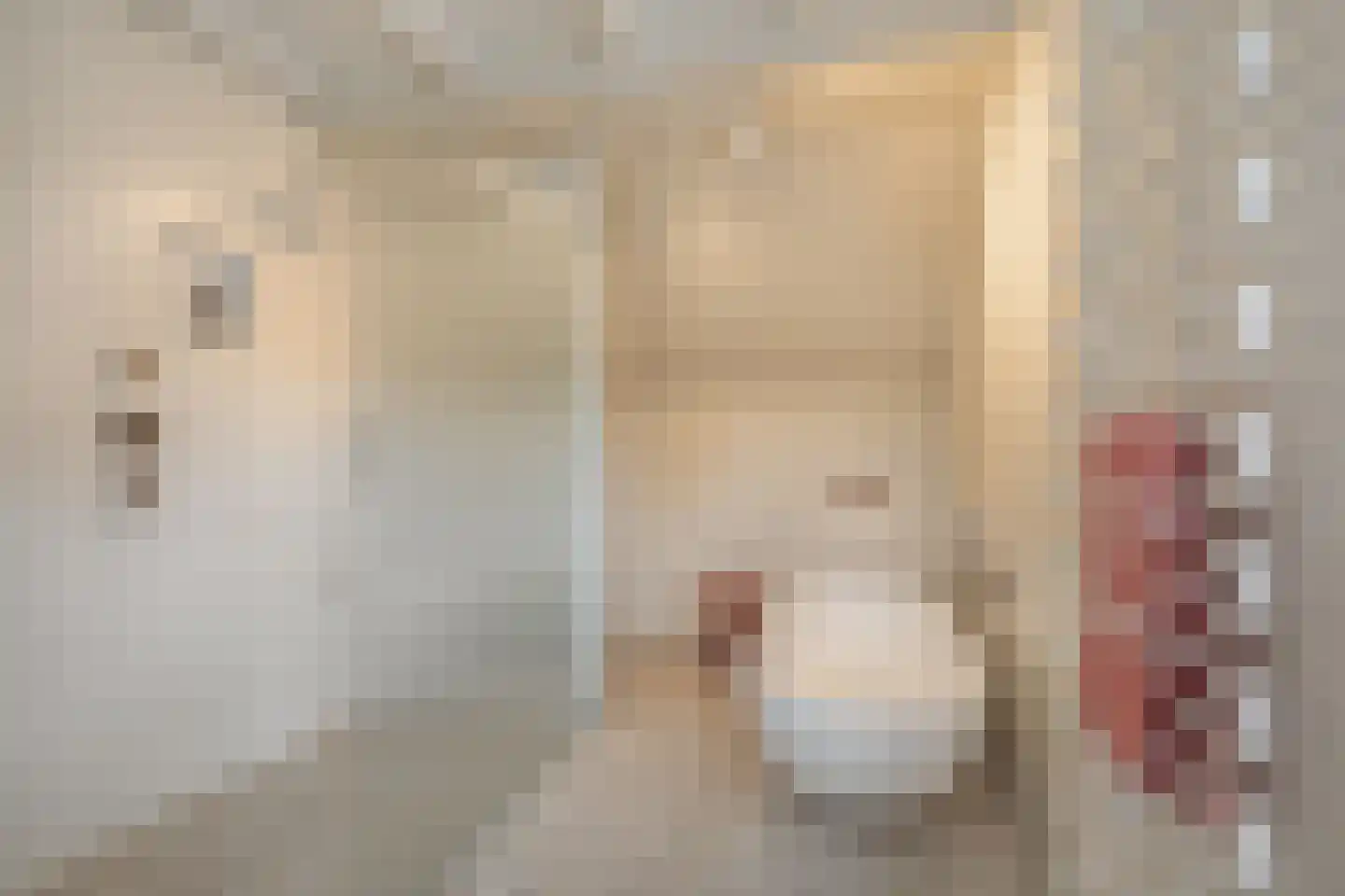 Bosscheweg 16 Den Dungen thumbnail 25