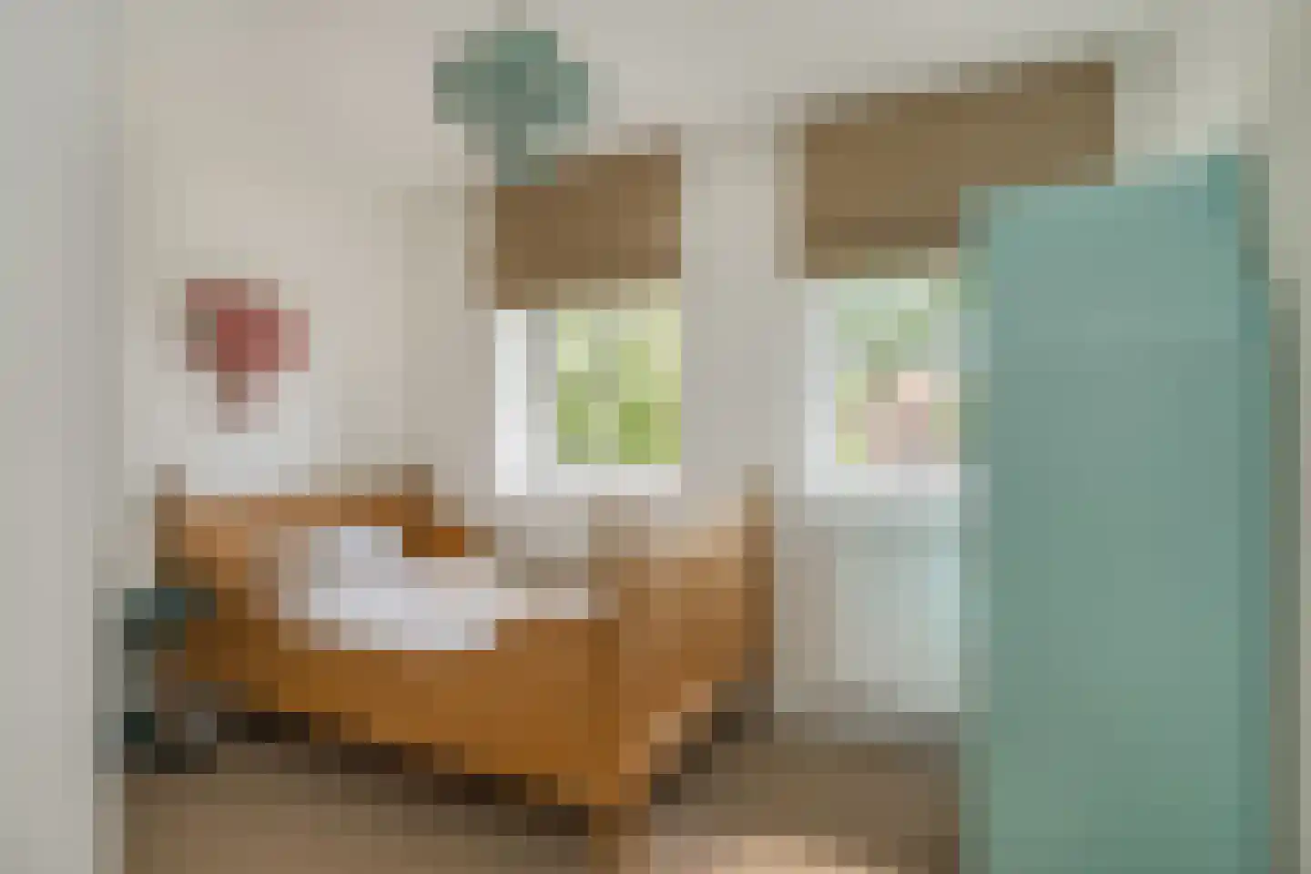 Bosscheweg 16 Den Dungen thumbnail 28