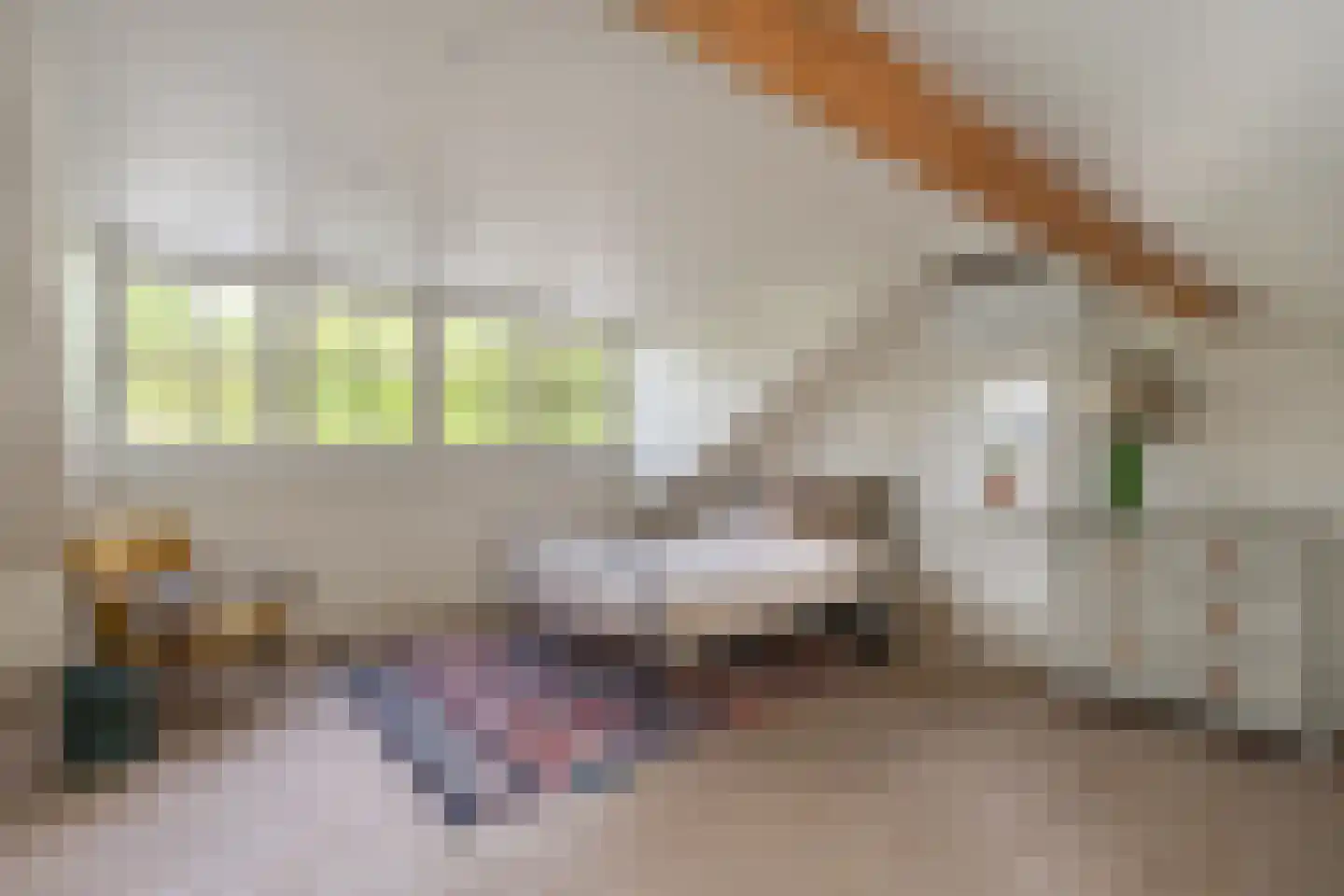 Bosscheweg 16 Den Dungen thumbnail 32
