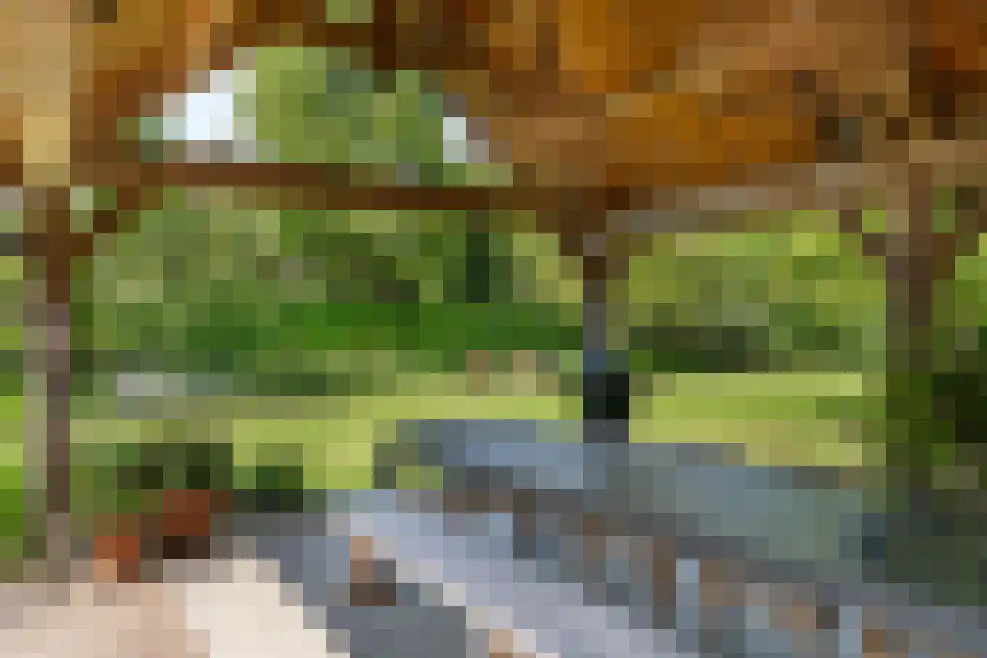 Bosscheweg 16 Den Dungen thumbnail 36