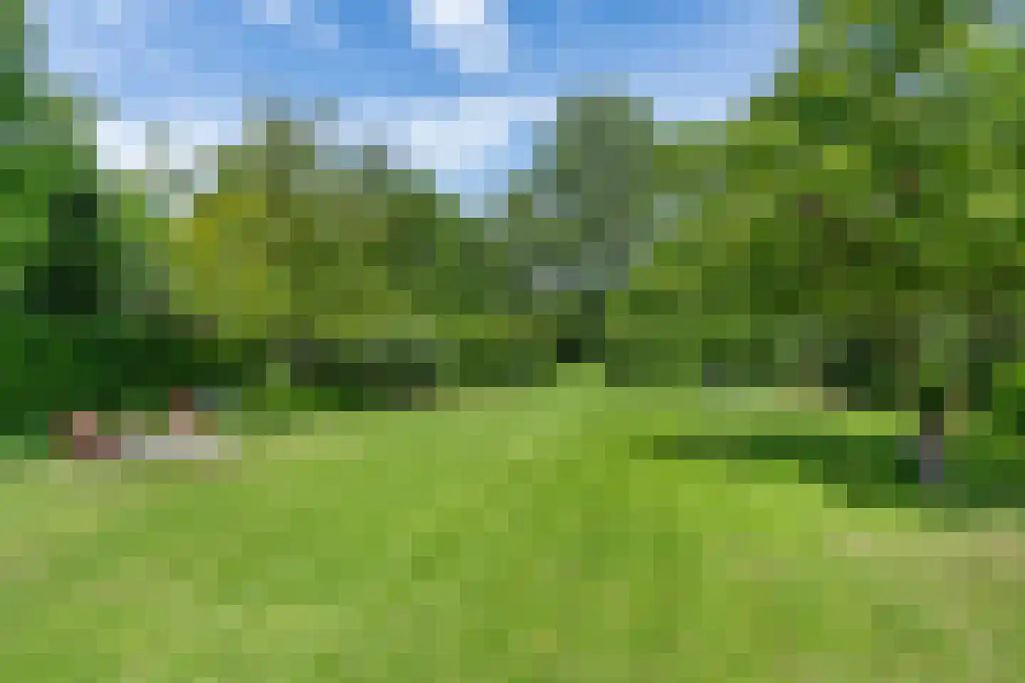 Bosscheweg 16 Den Dungen thumbnail 39