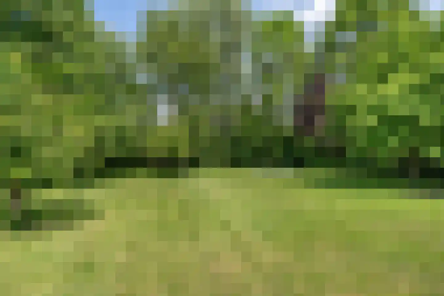 Bosscheweg 16 Den Dungen thumbnail 40