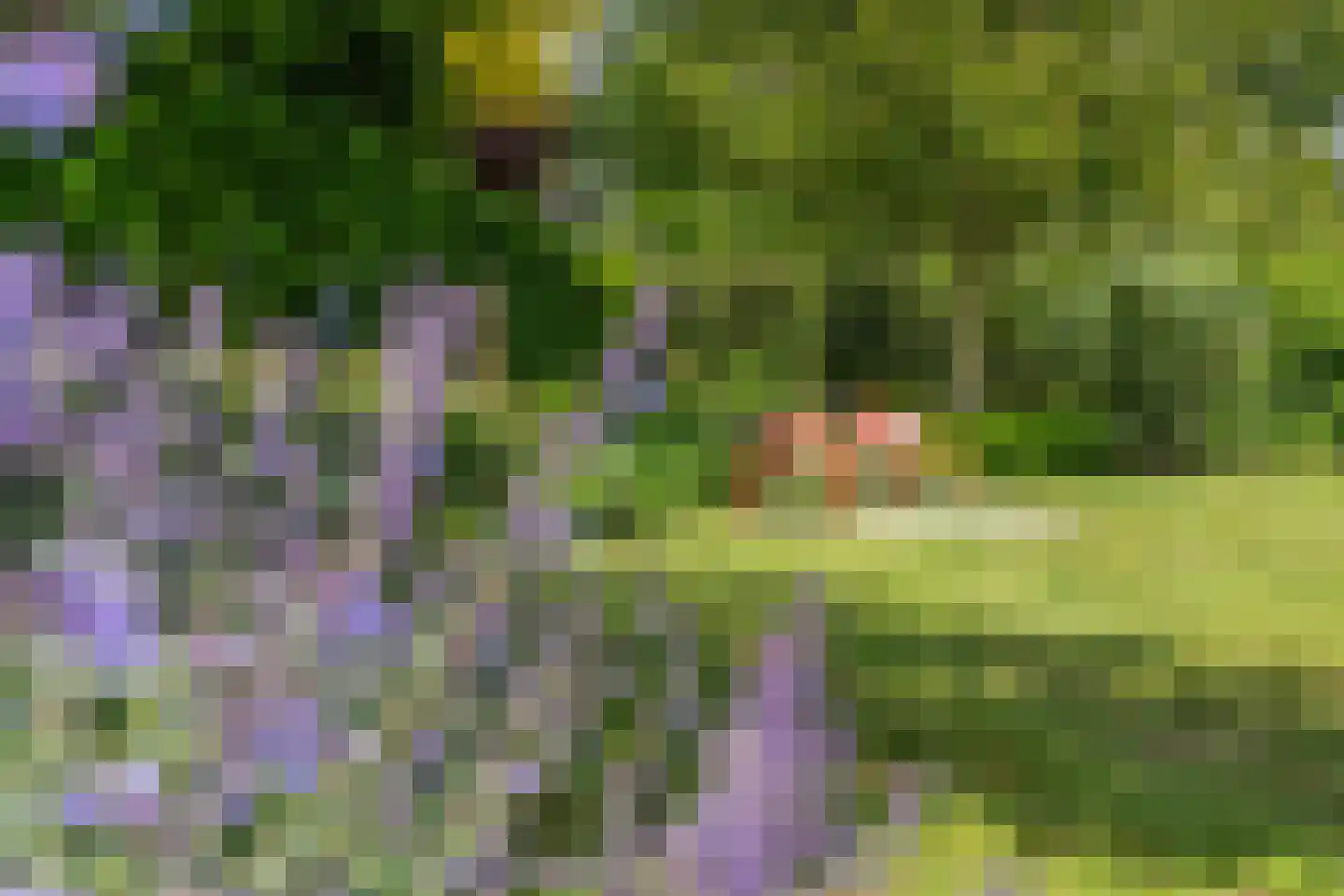 Bosscheweg 16 Den Dungen thumbnail 41