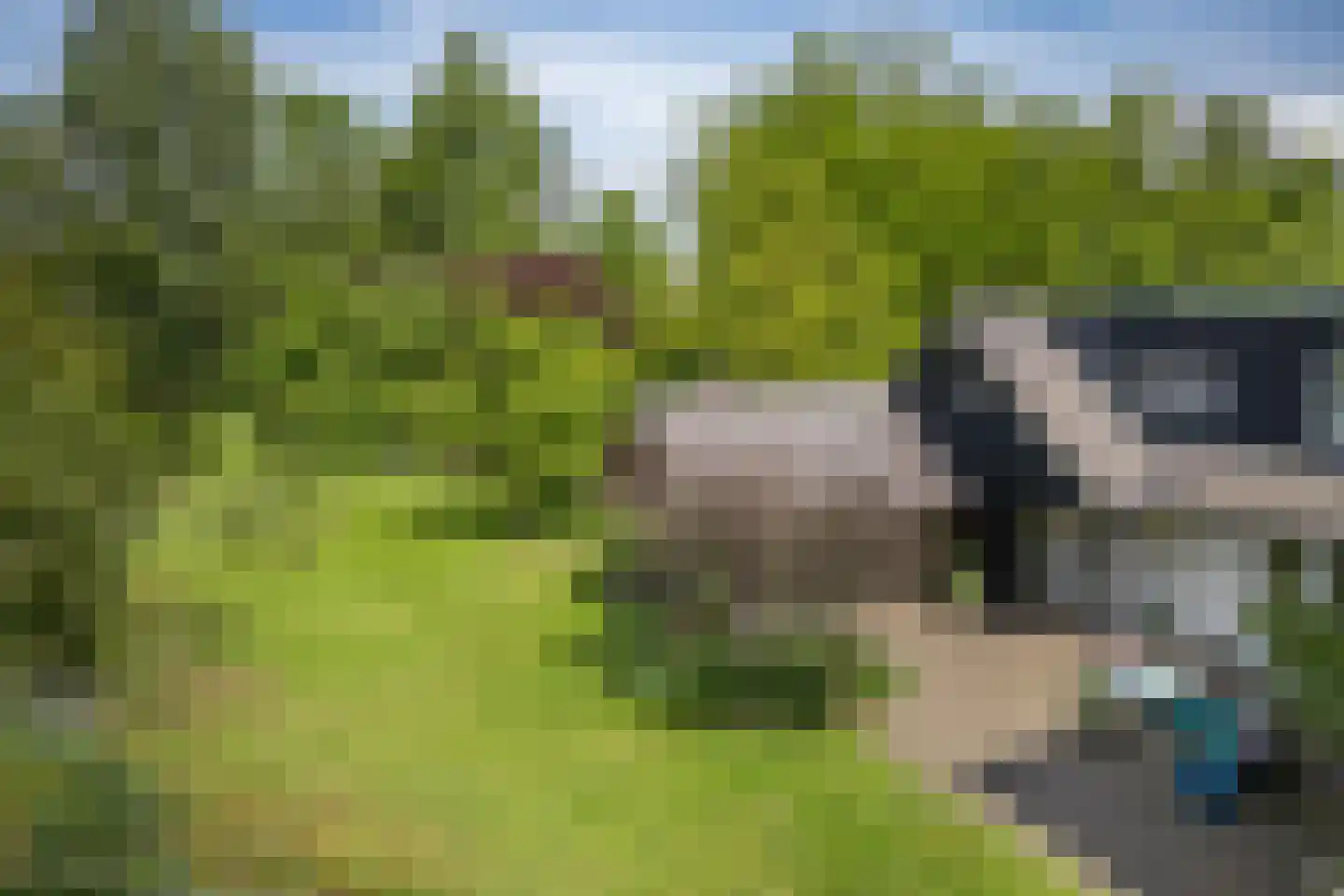 Bosscheweg 16 Den Dungen thumbnail 43